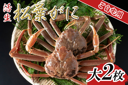 【活生】ご自宅用松葉ガニ 大 2枚 2026年11月～順次発送予定｜鳥取 日本海 松葉がに 松葉蟹 かに ズワイガニ【22058】