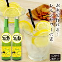 【ふるさと納税】★あさ開★レモンサワーの素「ちょいワルれもん」500ml×2本【1559966】