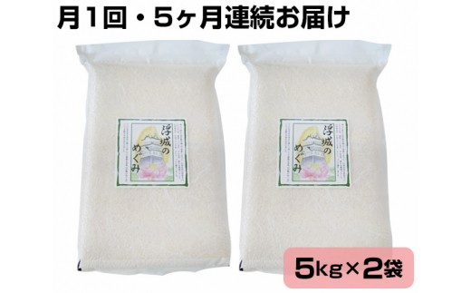 
No.093 【10kg・5ヶ月連続お届け】行田のお米　忍城献上米［むかさ商店］ ／ 精米 白米 定期便 埼玉県
