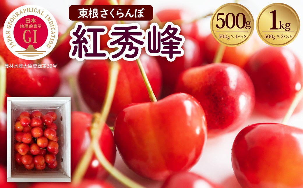
                  【2027年産 先行受付】 ≪選べる内容量≫ GI 東根さくらんぼ 紅秀峰 【500g(500g×1P) / 1kg(500g×2P)】 山形県 東根市 滝口観光果樹園提供 hi030-052-r9-o 果物 くだもの フルーツ さくらんぼ サクランボ チェリー 先行受付 期間限定 冷蔵配送 取り寄せ グルメ ご当地 特産直送
                