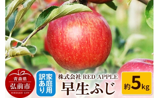 【26年10月発送】りんご【訳あり】家庭用 早生ふじ 約5kg [アップル おいしい ふじ りんご 果実 果物 赤色 早生 美味 林檎]
