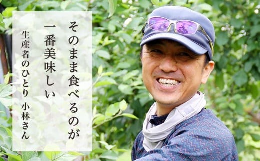 元調理師の小林さんが「そのまま食べるのが一番」と太鼓判を押すりんご。
