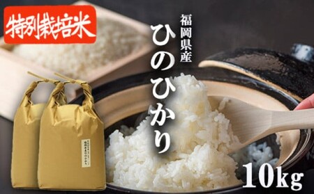 R7年度産 米 10kg 配送当日に精米します 小郡産 特A 特別栽培米 ひのひかり　白米 コメ 福岡県 お米 精米 ご飯 ごはん ヒノヒカリ国産 国産米 グルメ 食品