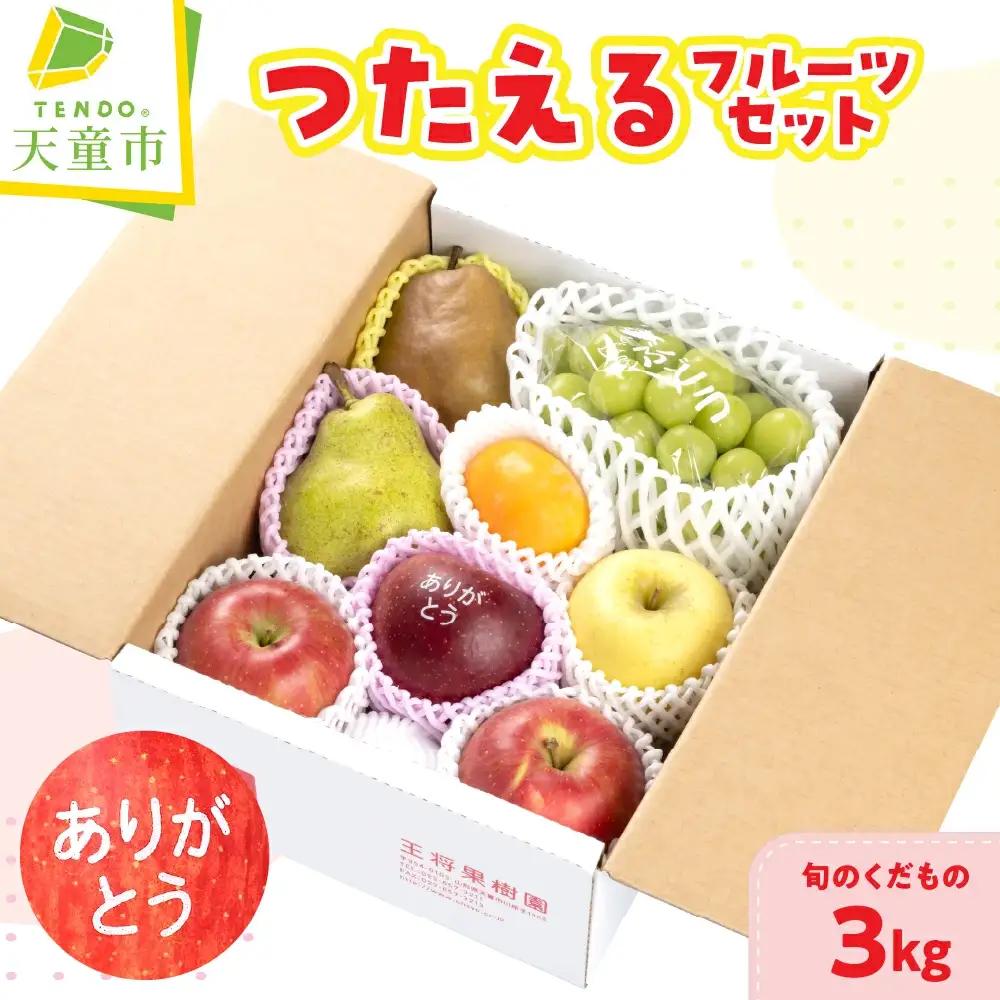 つたえる フルーツセット 3kg 果物 フルーツ 詰め合わせ