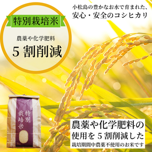 【2025年9月順次発送】令和7年産 新米 白米 3kg 特別栽培米 コシヒカリ コシヒカリ コシヒカリ コシヒカリ コシヒカリ
