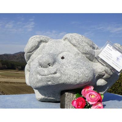 ふるさと納税 桜川市 平和の願い　未来っ子