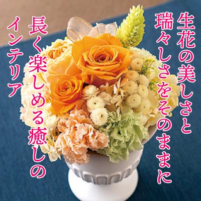 ふるさと納税 佐世保市 バラとカーネーションのプリザーブドフラワーアレンジ |  | 01