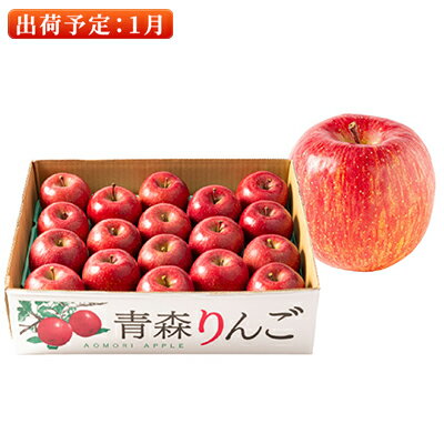 【ふるさと納税】1月 特A 濃厚サンふじ約5kg　糖度13度以上【青森りんご・マルコウアップル】 果物類 果物 フルーツ 　お届け：2026年1月5日～2026年1月31日