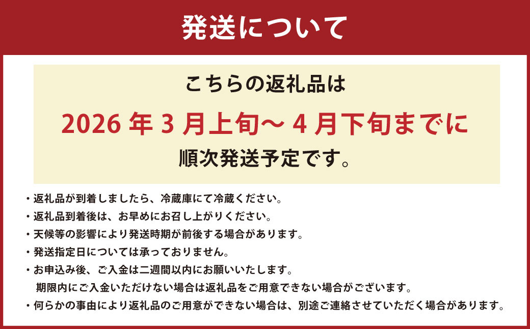 【絢】 いちご 約500g （約250g×2） ゆうべに 苺 【絢音ベリー農園】 厳選 希少