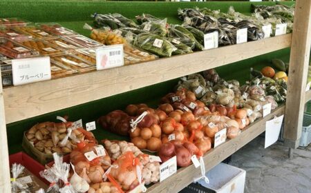 中野方町の特産品！ 旬の農産加工物セット 棚田米入り[AUCB001]米