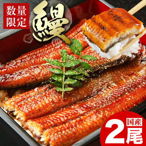 【ふるさと納税】うなぎ 鰻 福岡県産 鰻の蒲焼き 数量限定 2尾 280g 以上 HOMIE《45日以内に出荷予定(土日祝除く)》福岡県 鞍手郡 鞍手町 鰻 蒲焼き 数量限定 国産 蒲焼 うなぎ蒲焼 (1尾あたり140g-180g以上)