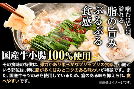 国産 博多牛もつ鍋10人前 (?油味・塩味) 《60日以内に出荷予定(土日祝除く)》もつ 牛もつ もつ鍋 ?油 塩 博多 鍋 送料無料