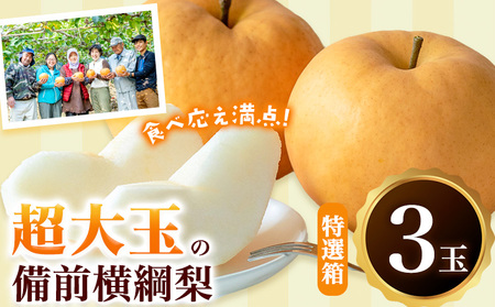 【先行予約】梨 横綱梨 超大玉 3玉 約1kg~1.5kg 特選箱 石原果樹園 フルーツ 果物 新鮮《11月中旬-12月下旬頃より発送予定》岡山県 浅口市 フルーツ 果物 ギフト 贈り物 国産 岡山県産 送料無料