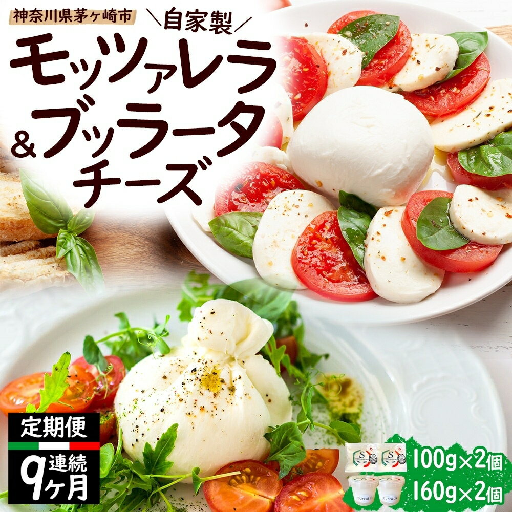 【ふるさと納税】【9ヶ月定期便】自家製 チーズ 詰め合わせ モッツァレラチーズ 100g ブッラータチーズ160g 各2個 出来立て 神奈川県産 幻のチーズ モッツァレラ ブッラータ 手作り Osteria e Bottega S 神奈川県 湘南 茅ケ崎 フレッシュチーズ おつまみ ピザ