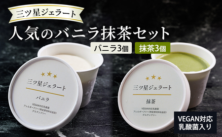 ジェラートセット 三ツ星ジェラート バニラ抹茶 乳酸菌入り ジェラートセット【6個 バニラ3抹茶3】