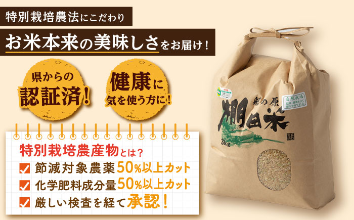 【自然農法で育てた特別栽培米】令和5年産 ヒノヒカリ 玄米 6kg（3kg×2袋）/永尾 忠則 [UAS006] 棚田米 棚田玄米 米 お米