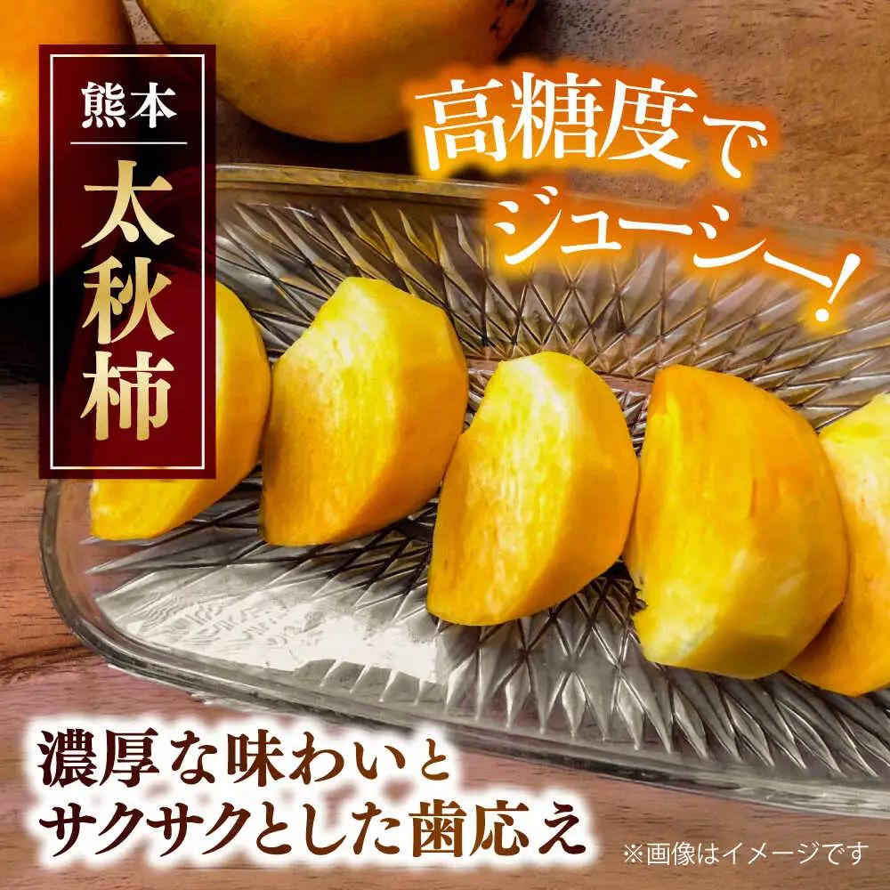 【先行予約】太秋柿 約6kg 柿 カキ フルーツ 果物 秋 【日本フルーツ株式会社】[ZFJ071]