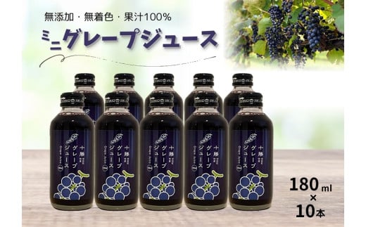 北海道 ぶどうミニジュース10本 ストレート 果汁100％ ぶどう 葡萄 ブドウ 無添加