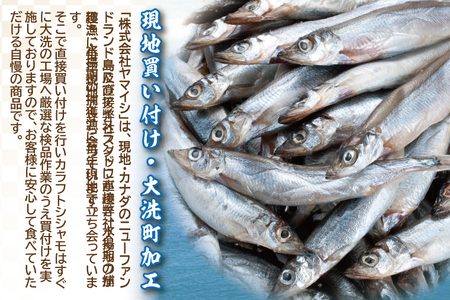 ししゃも雄雌食べ比べ ４ｋｇ セット 訳アリ シシャモ ししゃも カラフトししゃも 大洗 規格外 訳あり わけあり 傷_AV012