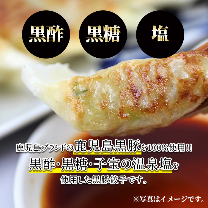 A-109 鹿児島黒豚餃子60個(30個×2)【九面屋】