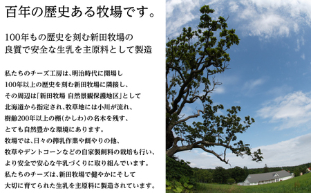 NEEDSオリジナルチーズ 大地のほっぺ 300g×2個 ［ナチュラルチーズ・セミハードタイプ］【十勝幕別町】北海道 十勝 チーズ ミルク