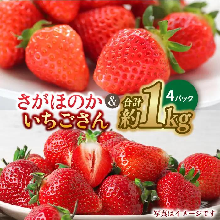 【先行予約・27年1月以降順次発送】さがほのか＆いちごさん 平パック×4P （約1kg）|いちご 果物 旬 イチゴ 苺 フルーツ 佐賀県産 佐賀産 佐賀| 吉野ヶ里町/リエンサーク [FCC004]
