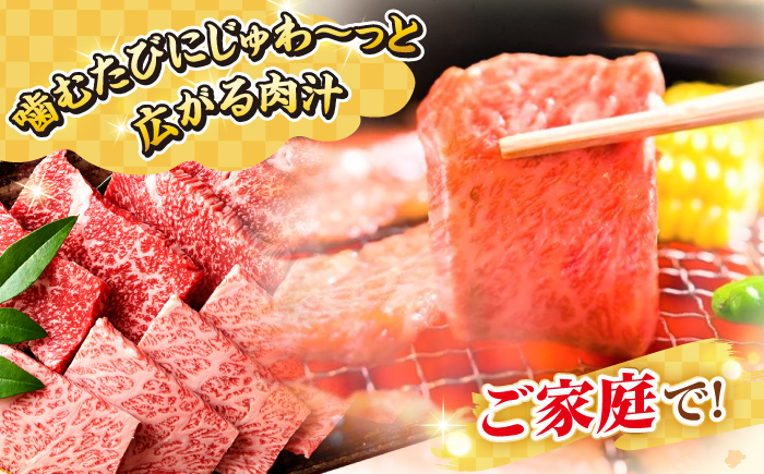 【全2回定期便】【訳あり】【A4〜A5ランク】長崎和牛 焼肉切り落とし 1kg（500g×2パック）(肩ロース・バラ）《壱岐市》【株式会社MEAT PLUS】 肉 牛肉 黒毛和牛 焼き肉 焼肉 焼肉用