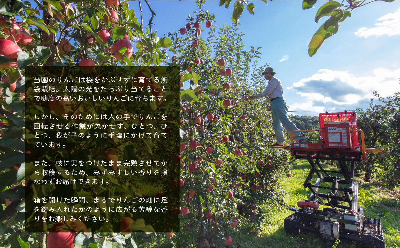 羽山りんごジュース 無添加 果汁100%（ふじ） 1000ml 6本セット りんごジュース りんご リンゴ 人気 ランキング おすすめ ギフト 故郷 ふるさと 納税 福島 ふくしま 二本松市 送料無料