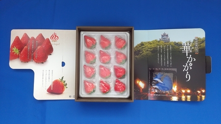 [先行予約] 岐阜のおおきないちご「華かがり」いちご