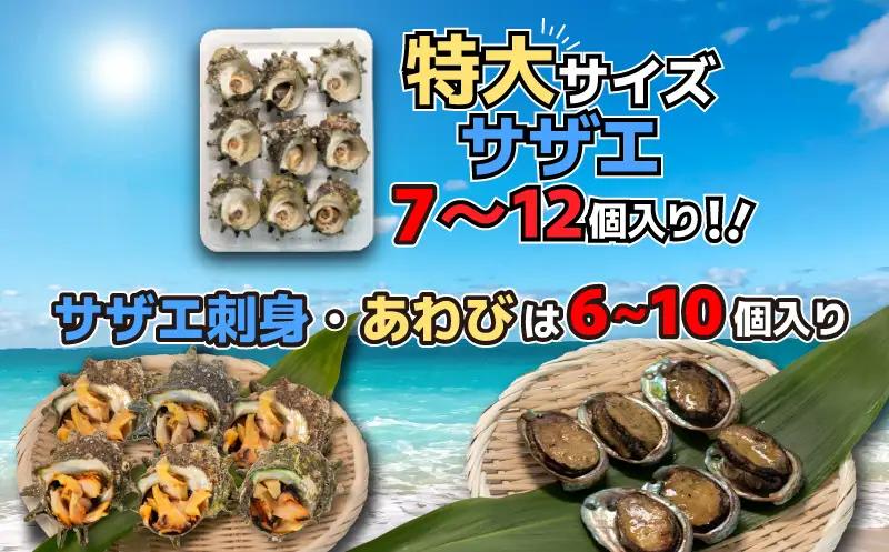 サザエ あわび セット 冷凍 サザエ FK