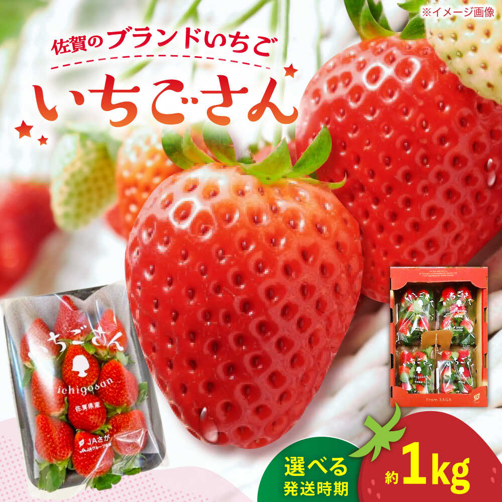 【ふるさと納税】【選べる発送時期】【先行予約】佐賀のブランドいちご いちごさん 約1kg（約250g×4p）/中村青果店[UDK007]