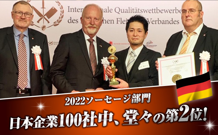 無添加 ハム ロースハム 冷凍 おすすめ セット 定期便 定期 毎月