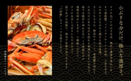 【先行予約】「香箱ガニ」 2杯セット 石川冬の味 かに 蟹 メス せこがに セコガニ 蟹味噌 ｜ 石川県 小松市 【魚たじま】