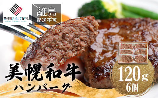 
【田村精肉店】美幌和牛ハンバーグ【120g×6個】【配送不可地域：離島】 ふるさと納税 人気 おすすめ ランキング 和牛 牛 牛肉 ハンバーグ 和牛ハンバーグ 牛ハンバーグ 北海道 美幌町 送料無料 BHRJ010
