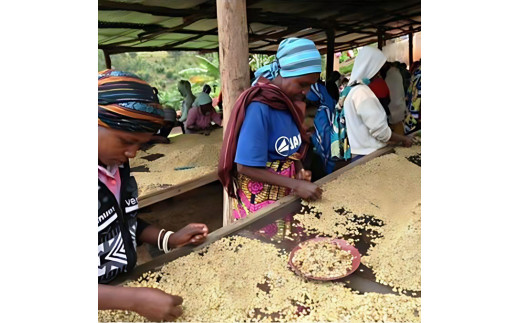 
                  コーヒー豆 #226 ルワンダ シンビ・ウォッシングステーション ウォッシュド 受注焙煎！310g 珈琲豆  自家焙煎
                