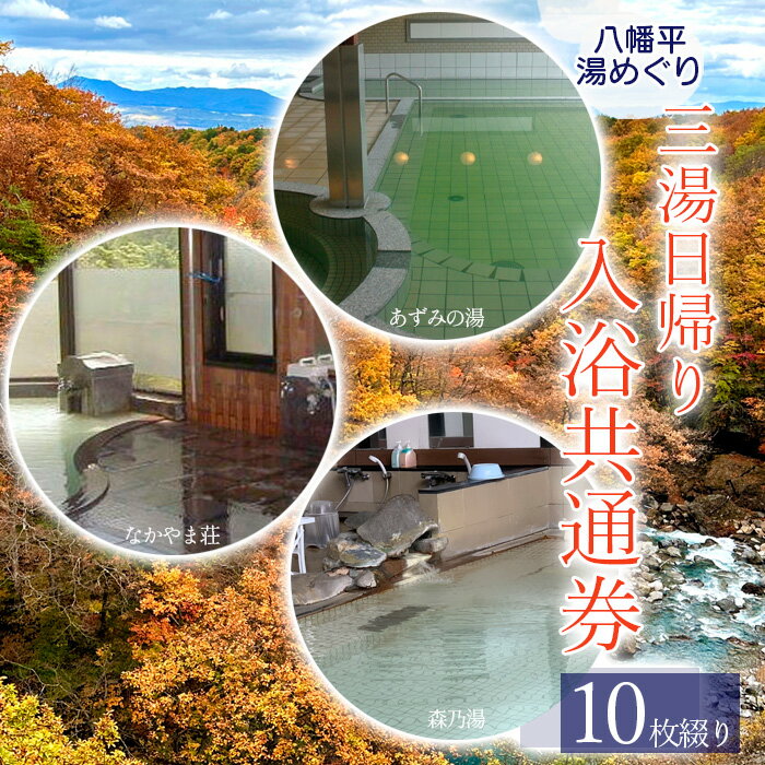 【ふるさと納税】 湯巡り 3湯 日帰り入浴券 10枚綴り ／ 入浴 入浴券 温泉 露天風呂 サウナ 大浴場 3施設 共通 回数券 チケット 共通券 温泉券 10枚 十枚 森乃湯 綿帽子 あずみの湯 なかやま荘 癒し リラックス 旅行 休息 お風呂 風呂 旅 東北 岩手県 八幡平市 送料無料