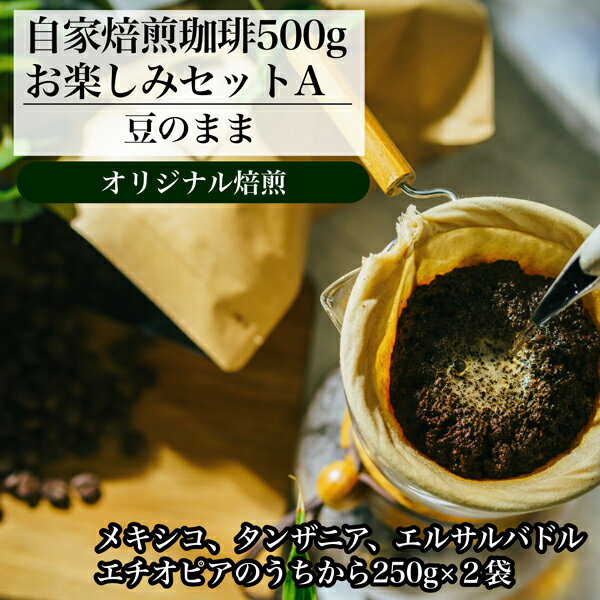 【ふるさと納税】【オリジナル焙煎】自家焙煎珈琲500gお楽しみセット　　A　（豆）