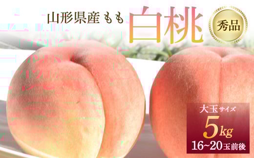 《先行予約 2025年度発送》 山形県産 白桃 秀品 5kg  もも モモ 桃 デザート フルーツ 果物 くだもの 果実 食品 山形県 FSY-1241