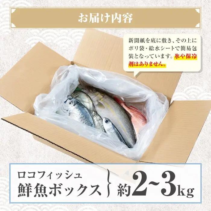 鮮魚ボックス 約2～3kg 鮮魚BOX ロコフィッシュ 下処理済 エコ包装【昌徳丸】A78003