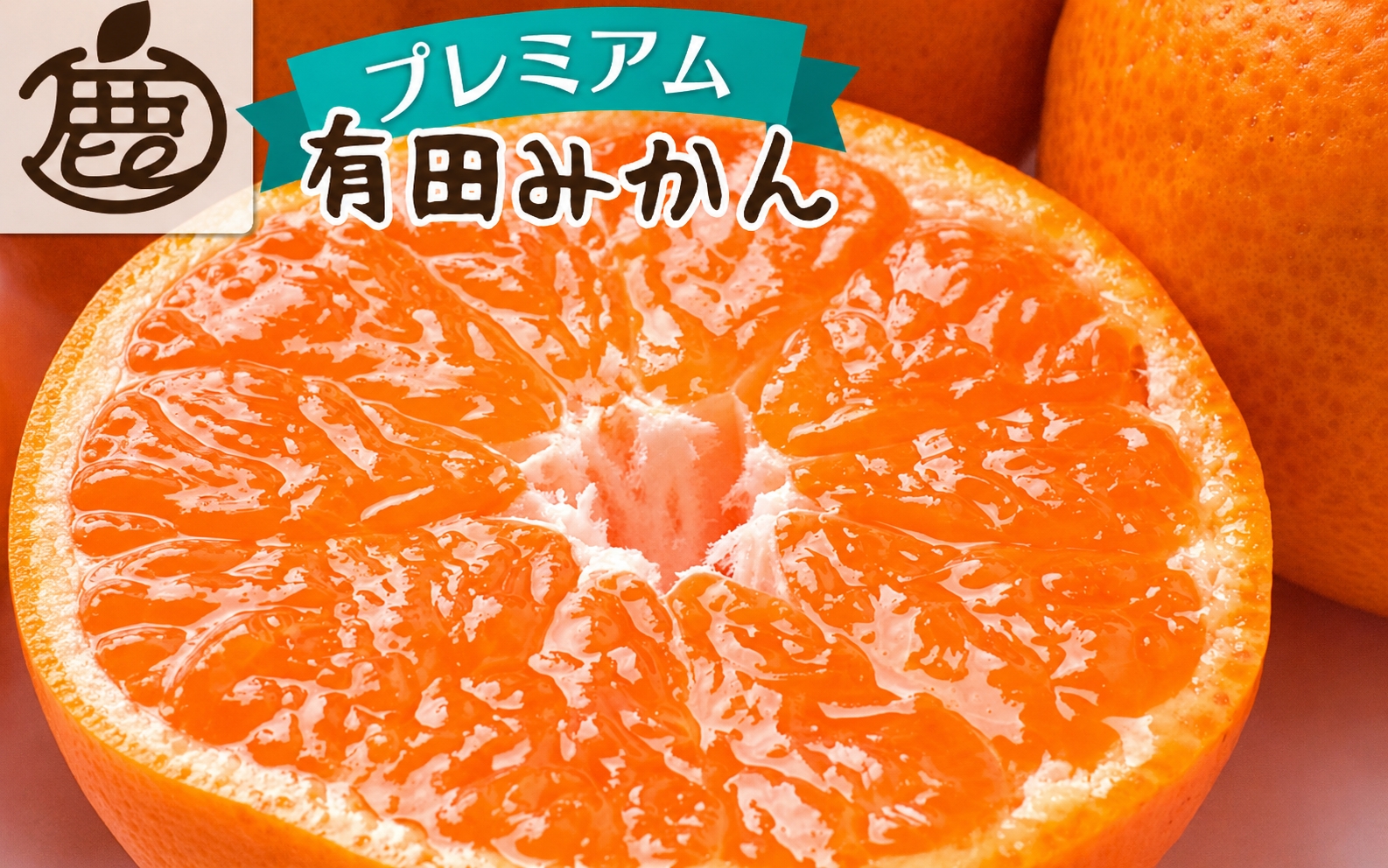 【先行予約】プレミアム 有田みかん（完熟）10kg+250g（傷み補償分） ※11月より順次発送【光センサー選果】 ※北海道・沖縄・離島配送不可 /みかん ミカン 果物 果実 有田 和歌山 フルーツ オレンジ【ikd215A】
