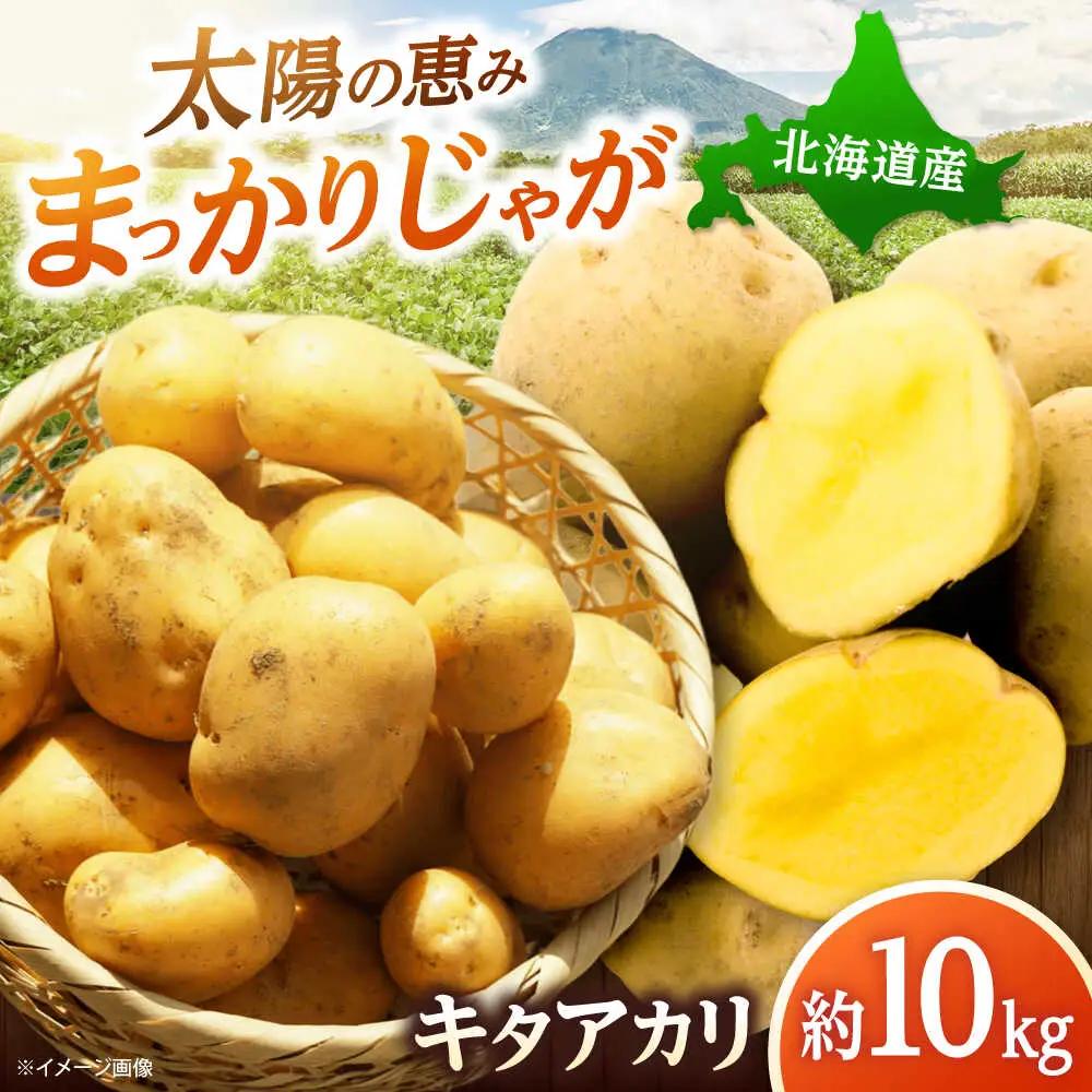 【先行予約】 じゃがいも キタアカリ 10kg [BPAM025] じゃがいも
