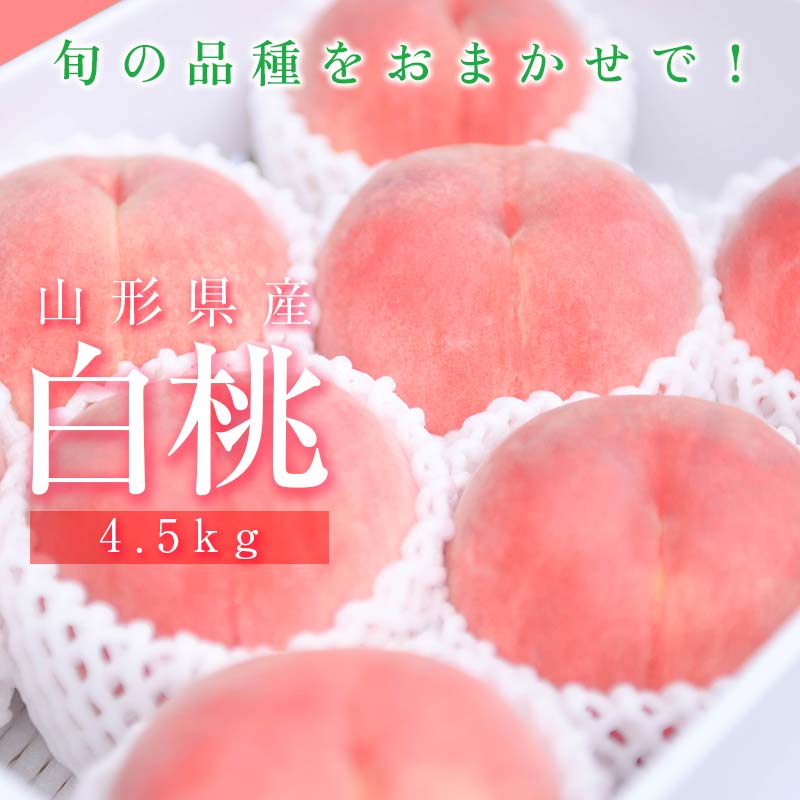 【ふるさと納税】 《先行予約2026年度発送》フルーツ王国山形 山形県産 白桃 ご自宅用 品種おまかせ 4.5kg もも モモ 桃 デザート フルーツ 果物 くだもの 果実 食品 山形県 FSY-2742