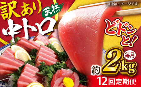 【全12回定期便】【訳あり】天然 まぐろ 中トロ メバチ 計約1.8kg (8柵入り) まぐろまぐろまぐろまぐろまぐろまぐろまぐろ [AKAK055]