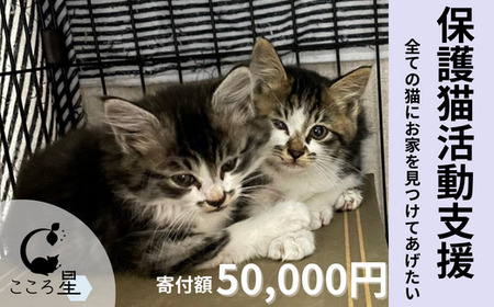 保護猫 活動支援 寄付額50,000円 こころ星 東松山市
