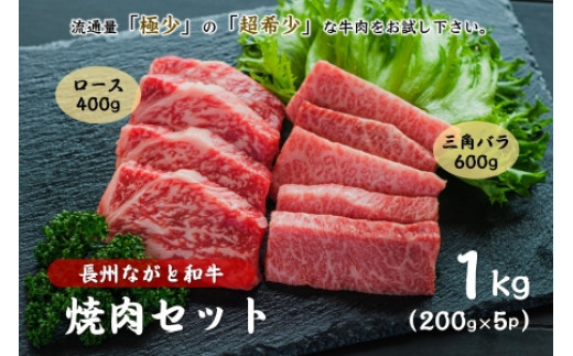 
(1406)長州ながと和牛「三角バラ焼き肉用・ロース焼肉用」牛肉 肉 お肉 焼き肉 焼肉 焼肉用 600g 400g 合計1ｋｇ ギフト 贈り物 和牛 牛 ながと和牛 長門市
