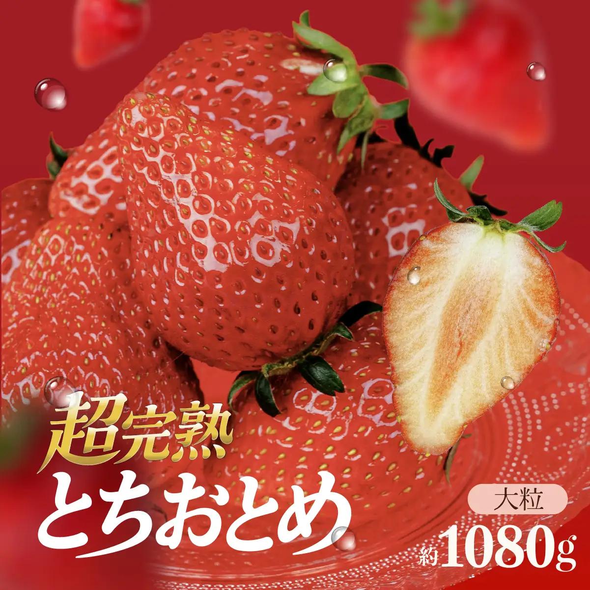 いちご【3月中旬以降発送】朝摘み とちおとめ 大粒 4パック1080g ｜ いちご イチゴ