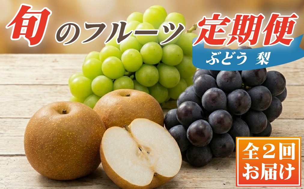 
                  【定期便】契約農場の旬のフルーツよくばりコース（定期便 シャインマスカット ぶどう 梨 フルーツ 贈答用 産地直送 契約農場 おすすめ ふるさと 宮崎)
                
