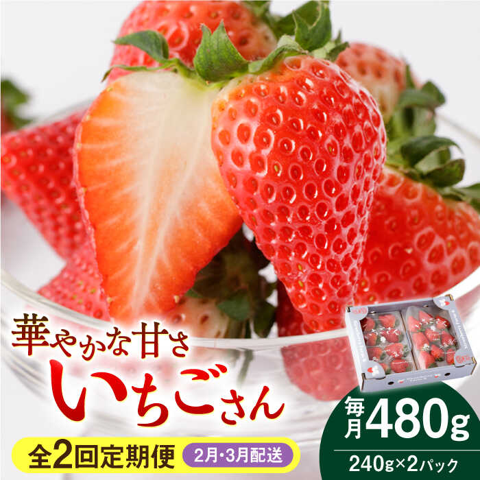 【R8年2月以降発送】【2回定期便】いちごさん 240g×2パック 2月・3月配送【StrawberryFarm-K】 [IBJ008]