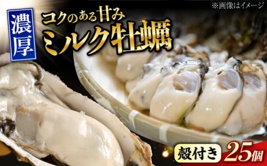 【3月5日（木）発送】江田島ミルク牡蠣 殻付き 25個 加熱用 かき 広島県産 カキ 貝付き牡蠣 海鮮 贈呈用 BBQ 濃厚 新鮮 蒸し牡蠣 焼き牡蠣 グリル焼き 丸杉水産/江田島市 [XCY003] 牡蠣 生食 冷凍 むき身 殻付き 殻付 殻 かき カキ 生牡蠣 広島牡蠣 オイスター カキフライ 魚介類 魚介 貝類 海鮮 広島県産 国産 産地直送 贈答 ギフト 特産品
