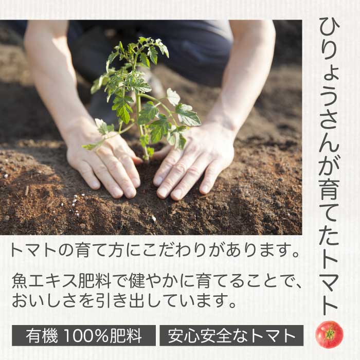 ひりょうやさんの トマトジュース 500ml×2本 トマトジュース 野菜ジュース トマト 野菜 無添加 広島県 三原市 042003